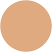 Perfect Cover Foundation
