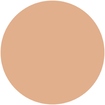 Perfect Cover Foundation