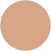 Perfect Cover Foundation