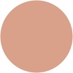 Perfect Cover Foundation