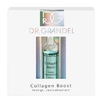 Collagen Boost