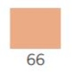 Maximum Perfection Concealer & Foundation č. 66