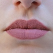 The Lipstick matte&fluid