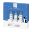 Winter Wellness 3 x 3 ml