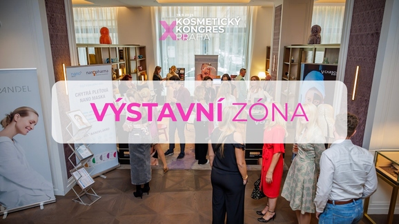 Výstavní zóna