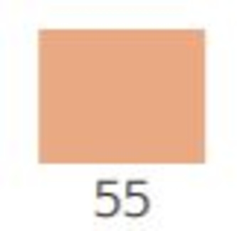 Maximum Perfection Concealer & Foundation č. 55