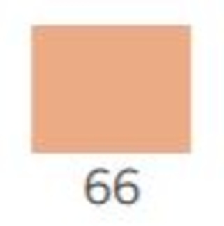 Maximum Perfection Concealer & Foundation č. 66